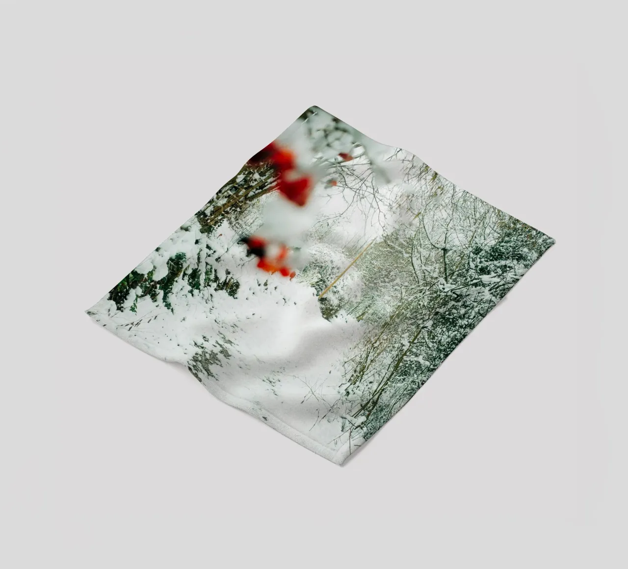 Paesaggio invernale Svizzera sassone - Sentiero forestale con la neve coperta in pile da Bold and Retro