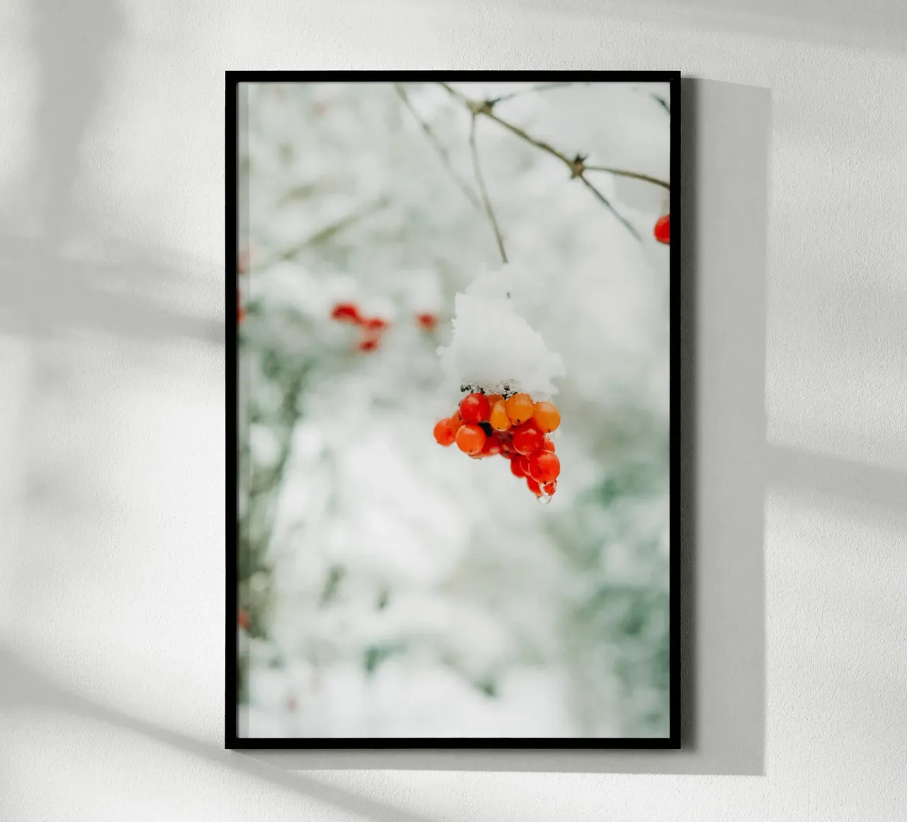 Bacche rosse invernali con neve per gli amanti della natura e dell'inverno poster con telaio in plastica da Bold and Retro