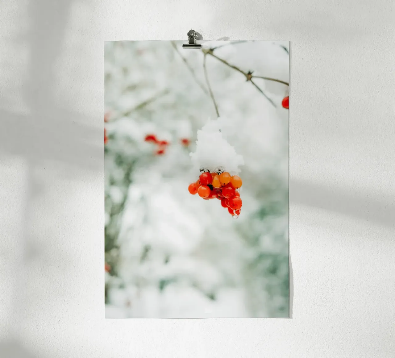 Bacche rosse invernali con neve per gli amanti della natura e dell'inverno poster con telaio in plastica da Bold and Retro
