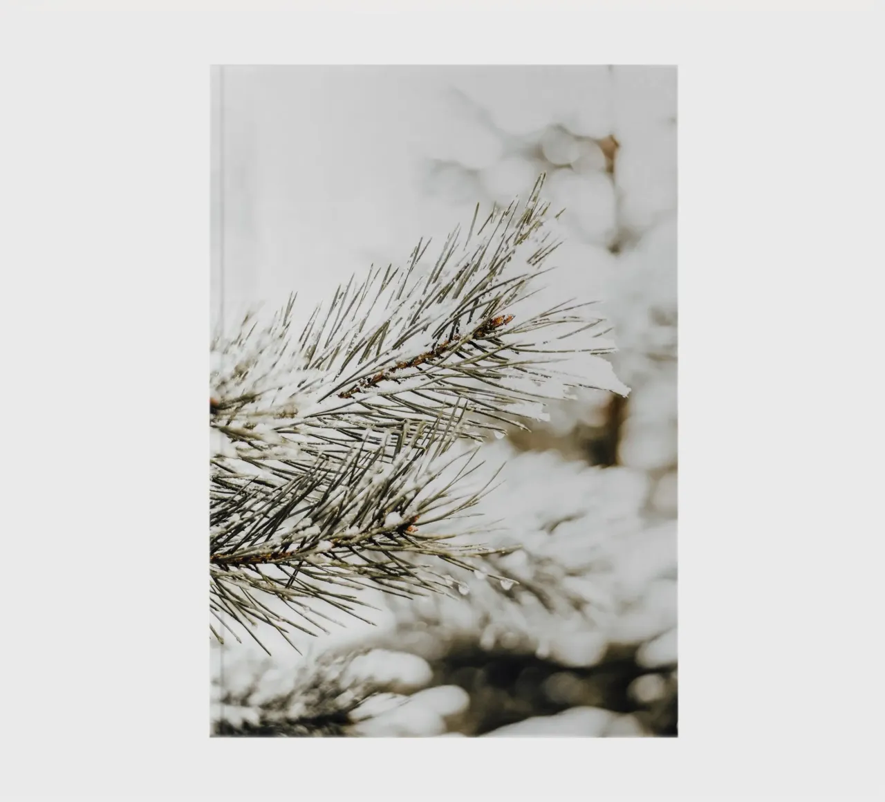 Snowy fir branch - Winter nature photography notebook by Whole©