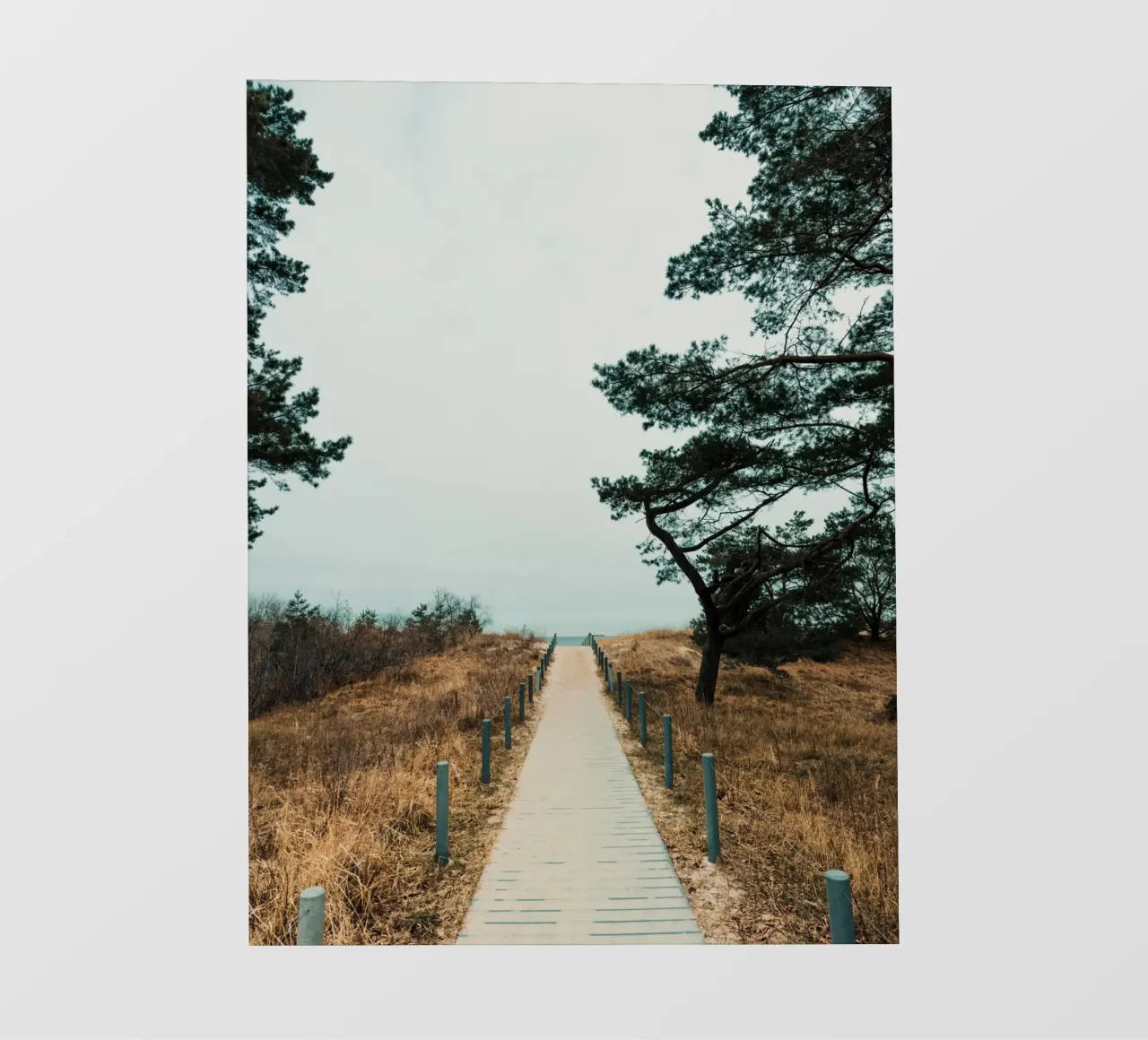 Secluded Beach Path 02 telo in pvc da Sebastian Hilgetag