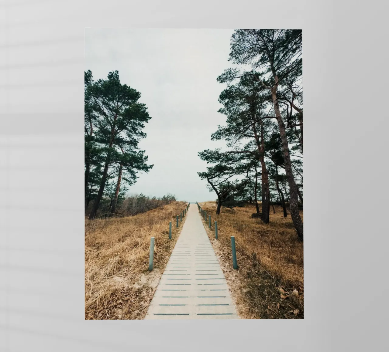 Secluded Beach Path pellicola backlit da Sebastian Hilgetag
