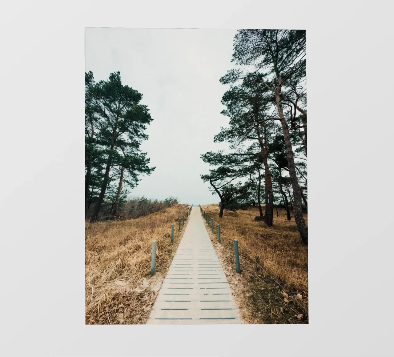 Secluded Beach Path telo in pvc da Sebastian Hilgetag