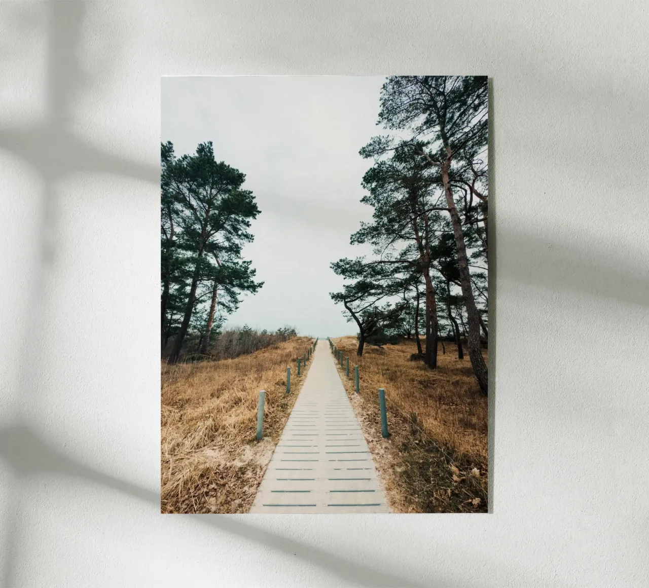 Secluded Beach Path plexiglass da Sebastian Hilgetag