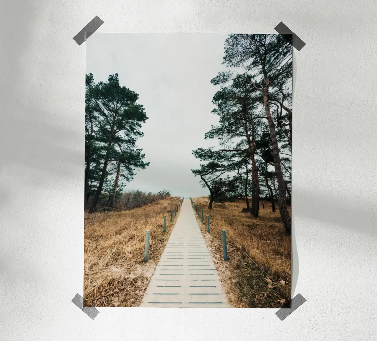 Secluded Beach Path poster da Sebastian Hilgetag