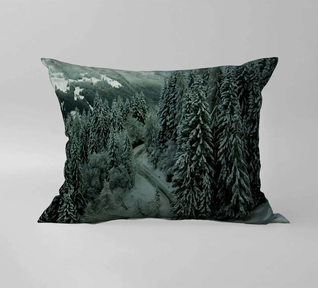 The Path through Winter cuscino da Sebastian Hilgetag