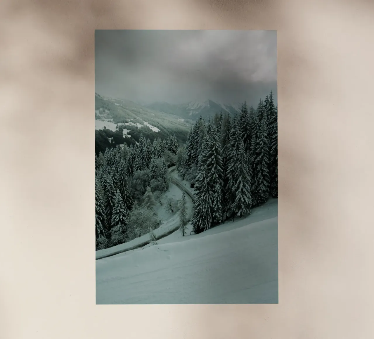 The Path through Winter pellicola backlit da Sebastian Hilgetag