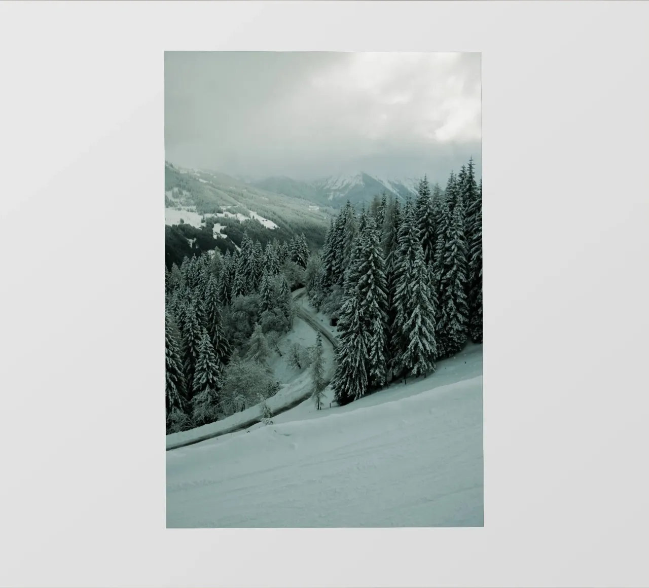 The Path through Winter pellicola backlit da Sebastian Hilgetag