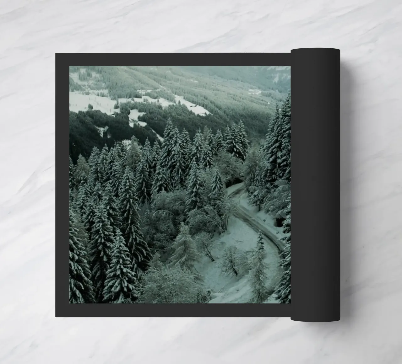 The Path through Winter zerbino da Sebastian Hilgetag