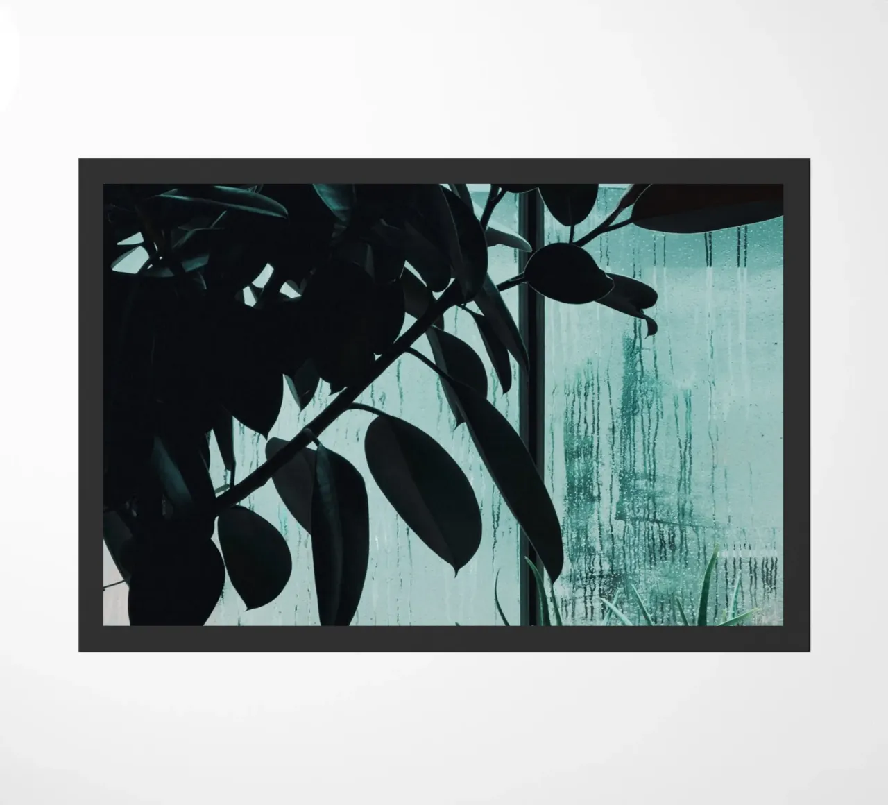 Wet Windows zerbino da Sebastian Hilgetag