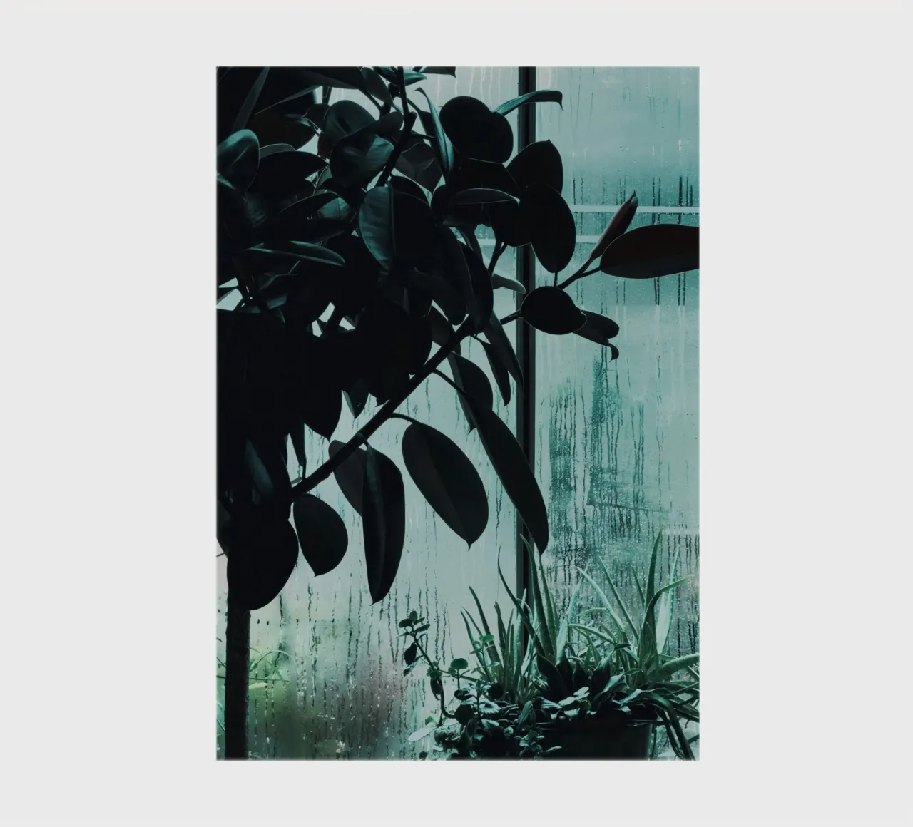 Wet Windows diario da Sebastian Hilgetag