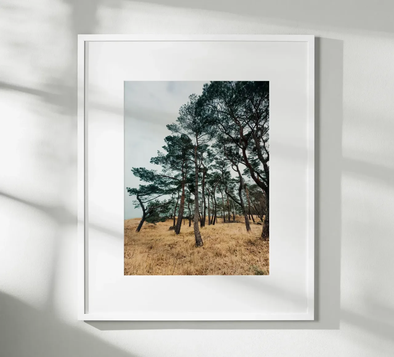 Woodland Beauty poster with aluminum frame by Sebastian Hilgetag