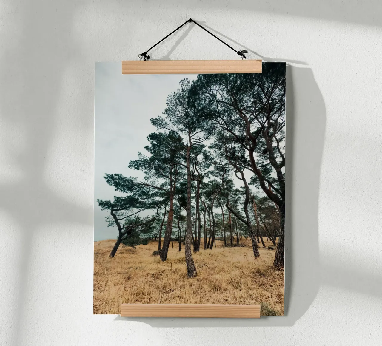 Woodland Beauty poster with aluminum frame by Sebastian Hilgetag
