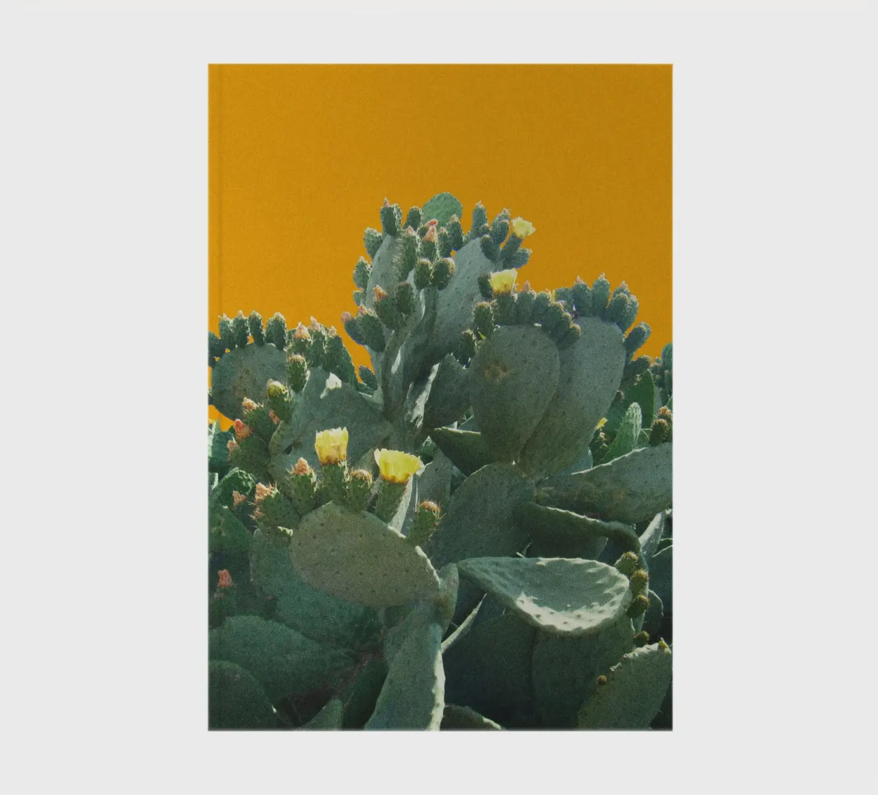 Cactus avec fleurs sur fond jaune moutarde carnet de notes de Lisa Jureczko Arts Illustration