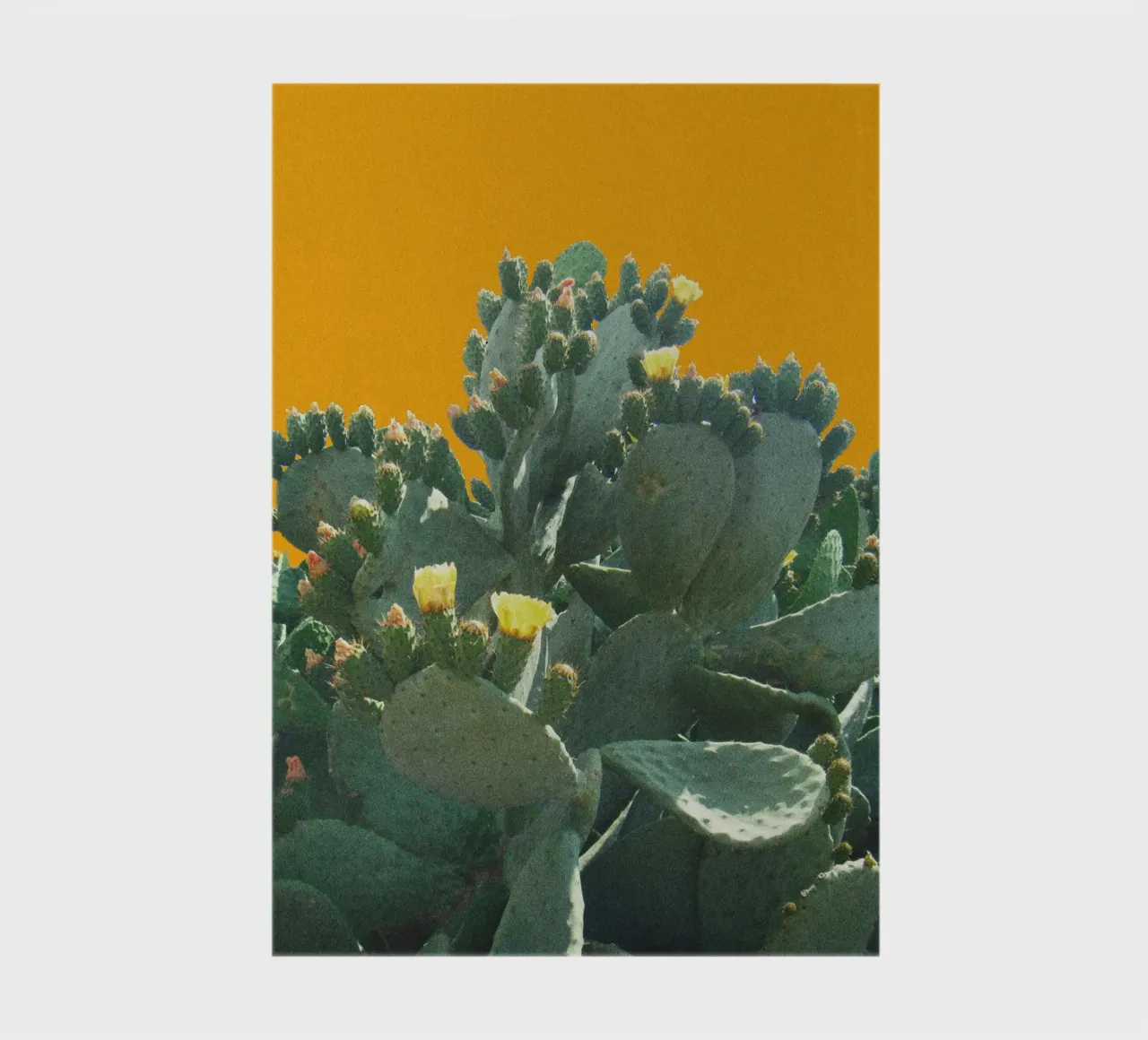 Cactus avec fleurs sur fond jaune moutarde carnet de notes de Lisa Jureczko Arts Illustration