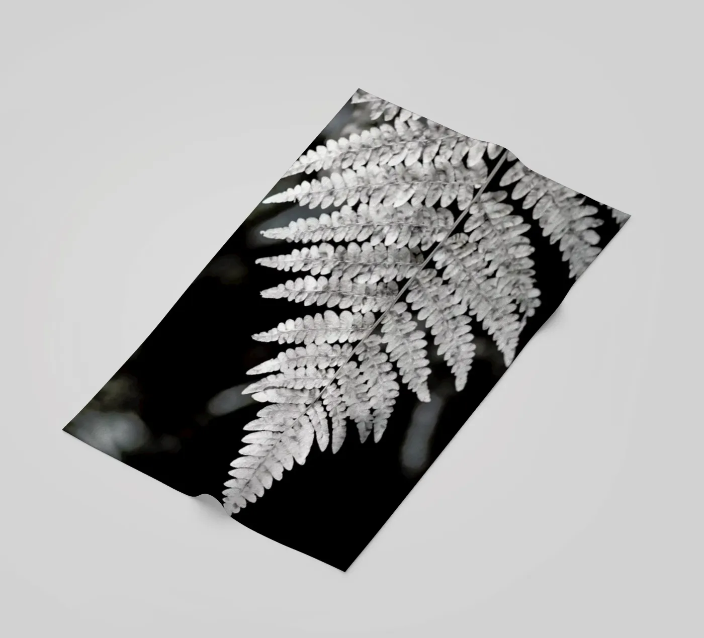 Fern telo mare da Studio Nahili