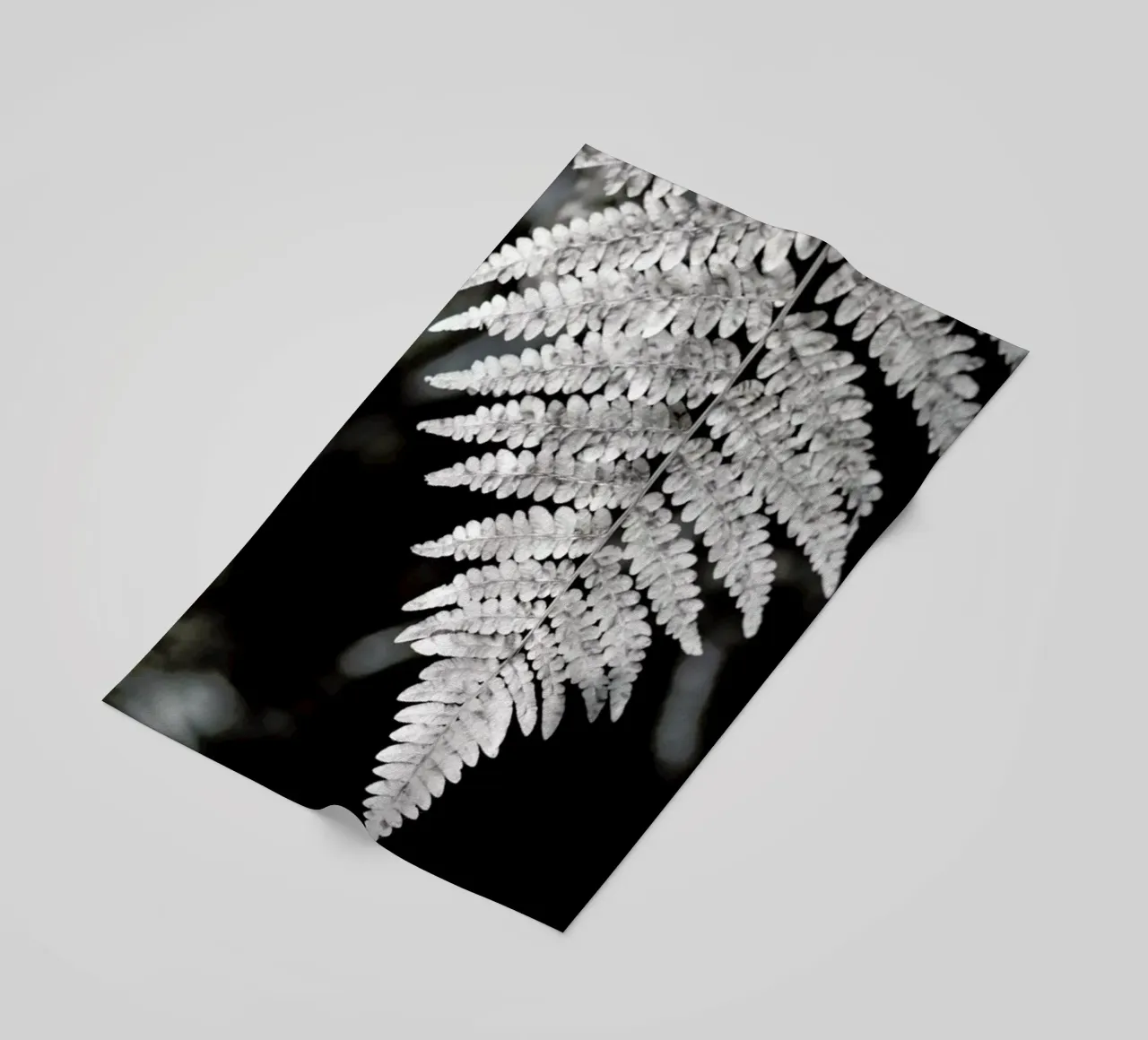 Fern telo mare da Studio Nahili