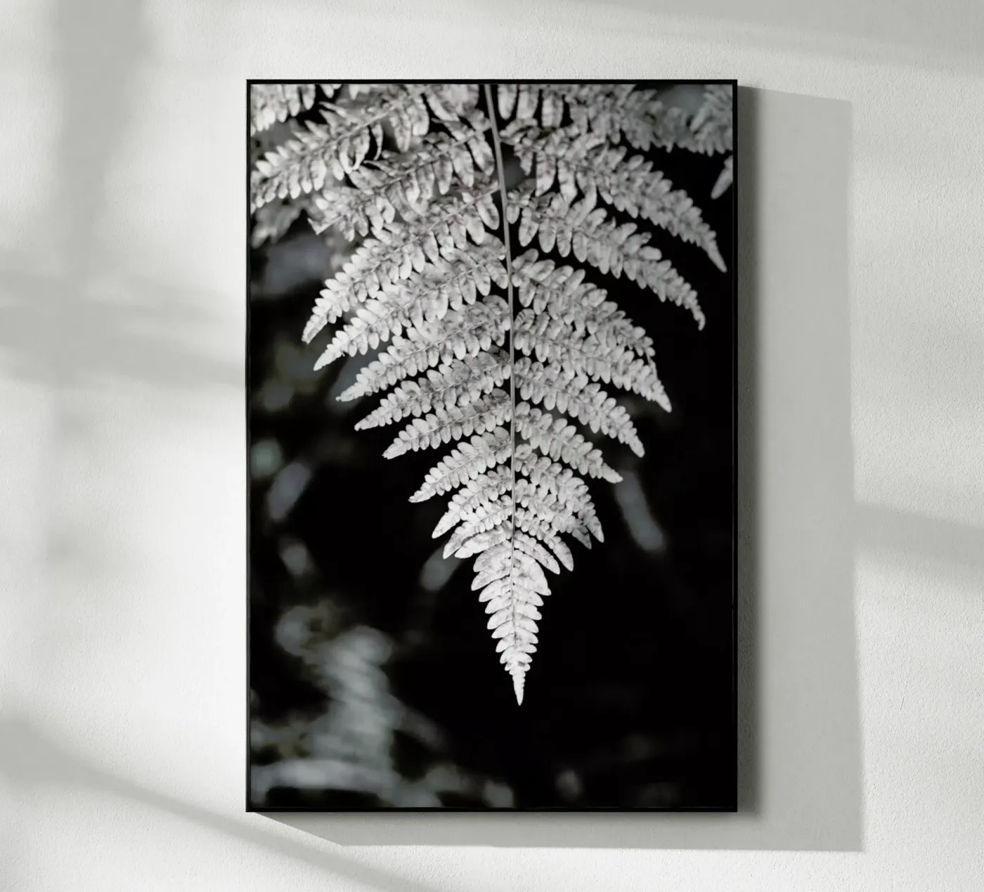 Fern plexiglass da Studio Nahili