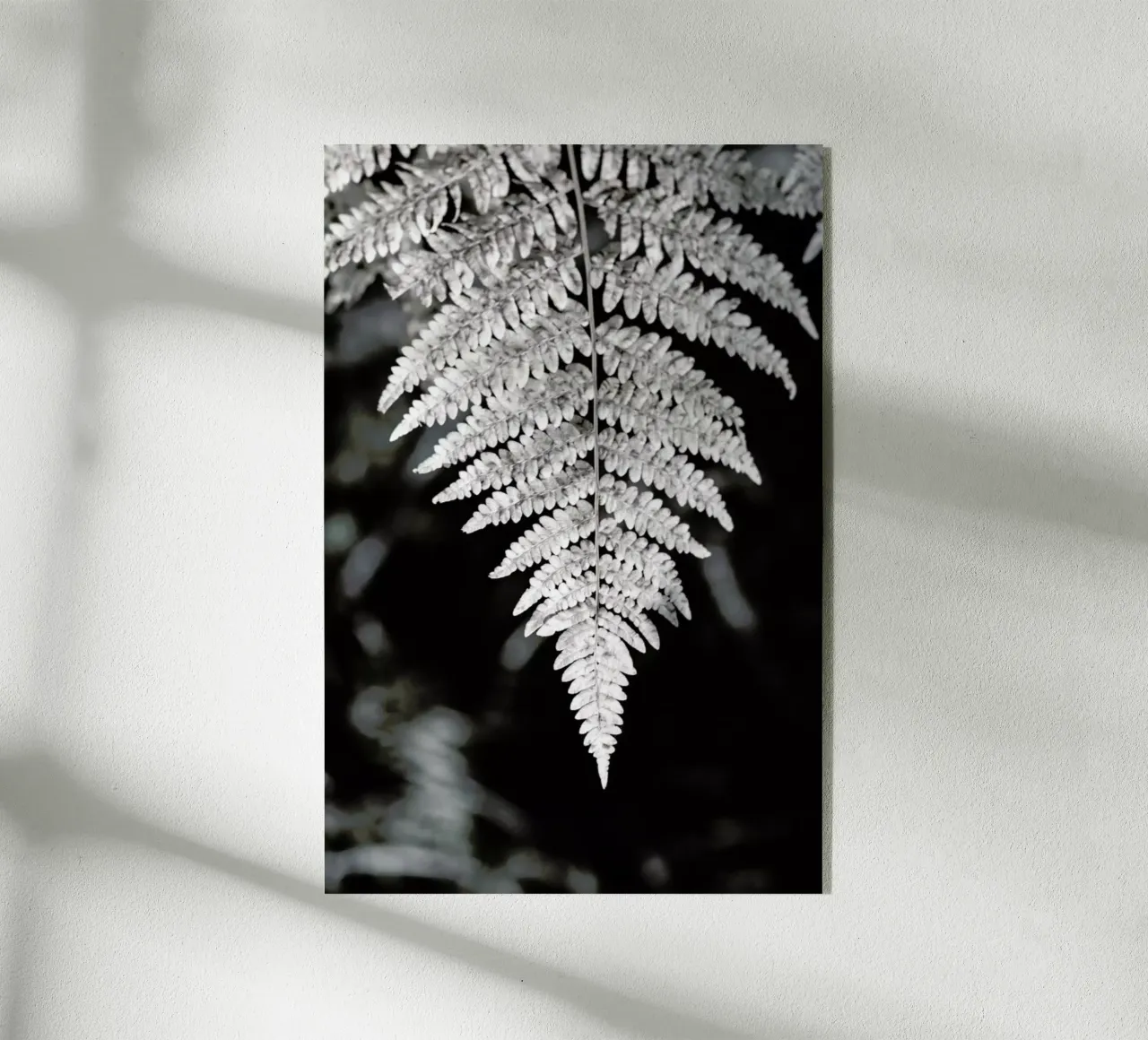 Fern plexiglass da Studio Nahili