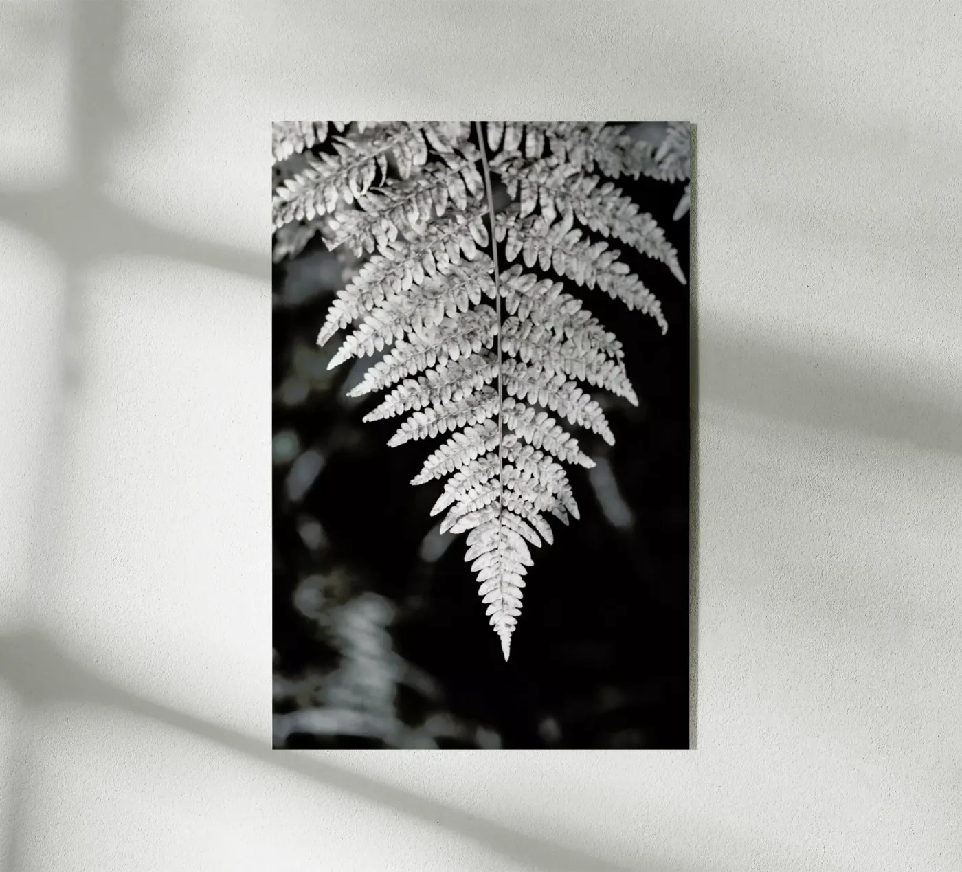 Fern plexiglass da Studio Nahili