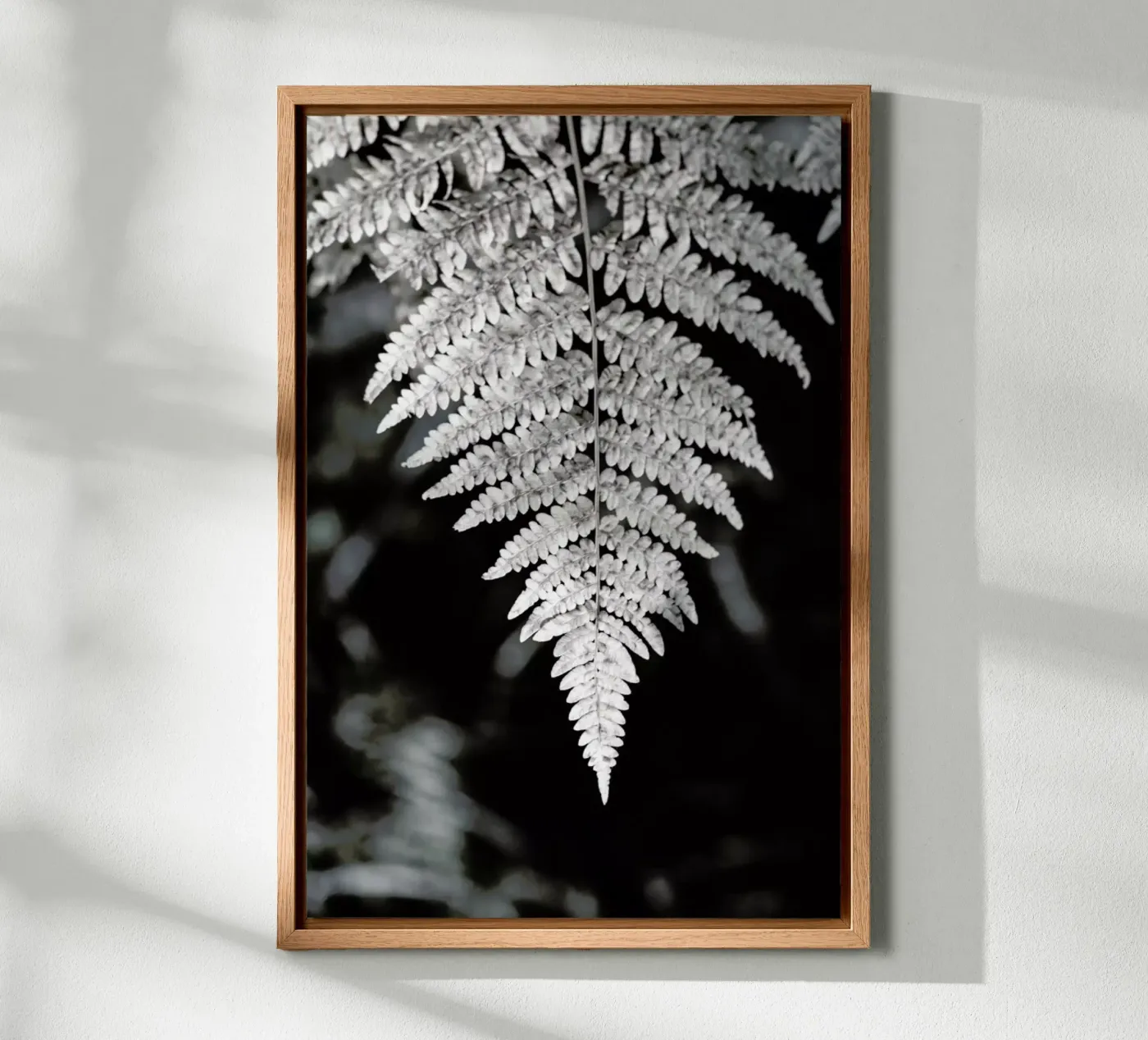 Fern forex plate by Studio Nahili