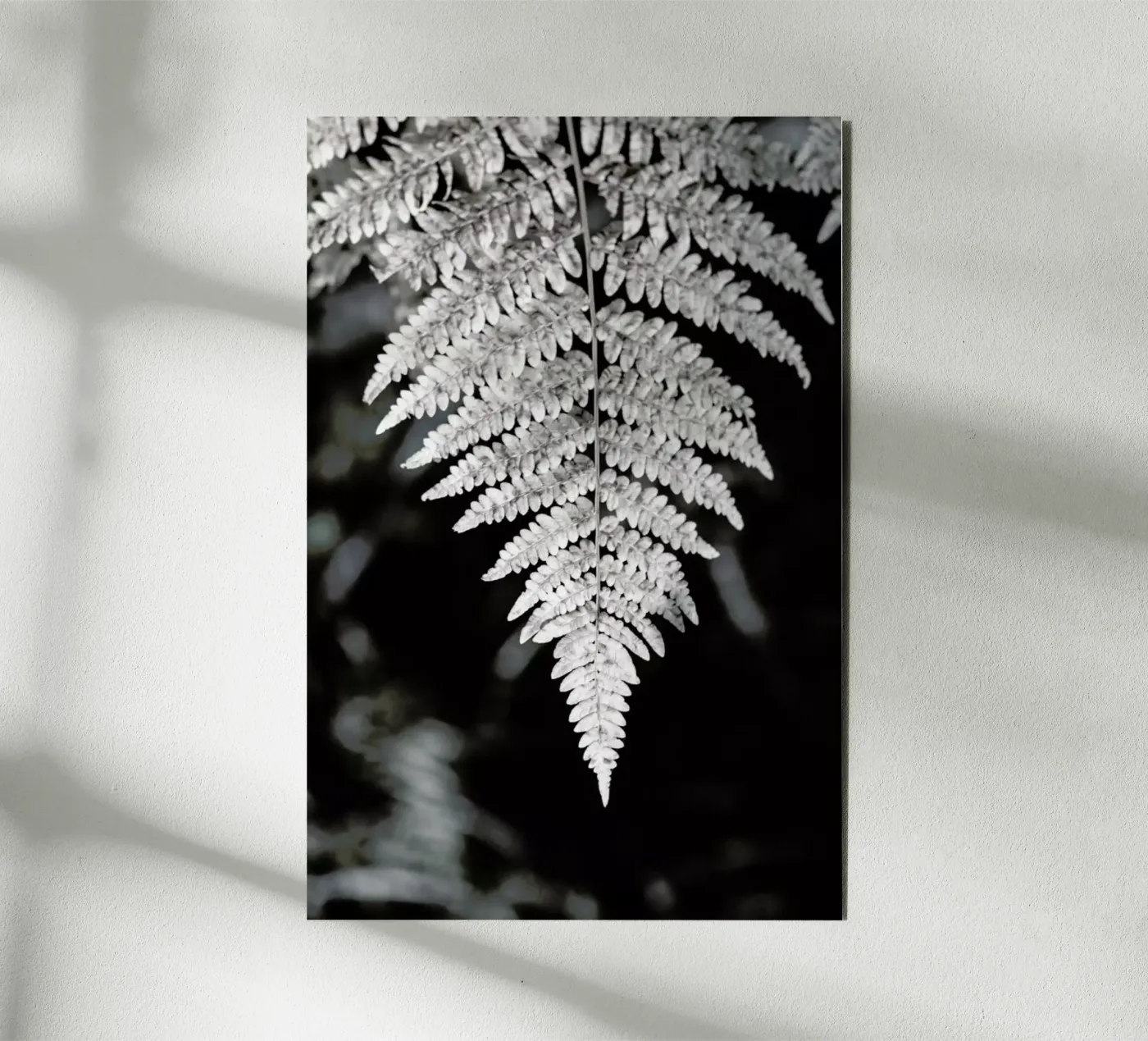 Fern alluminio dibond da Studio Nahili