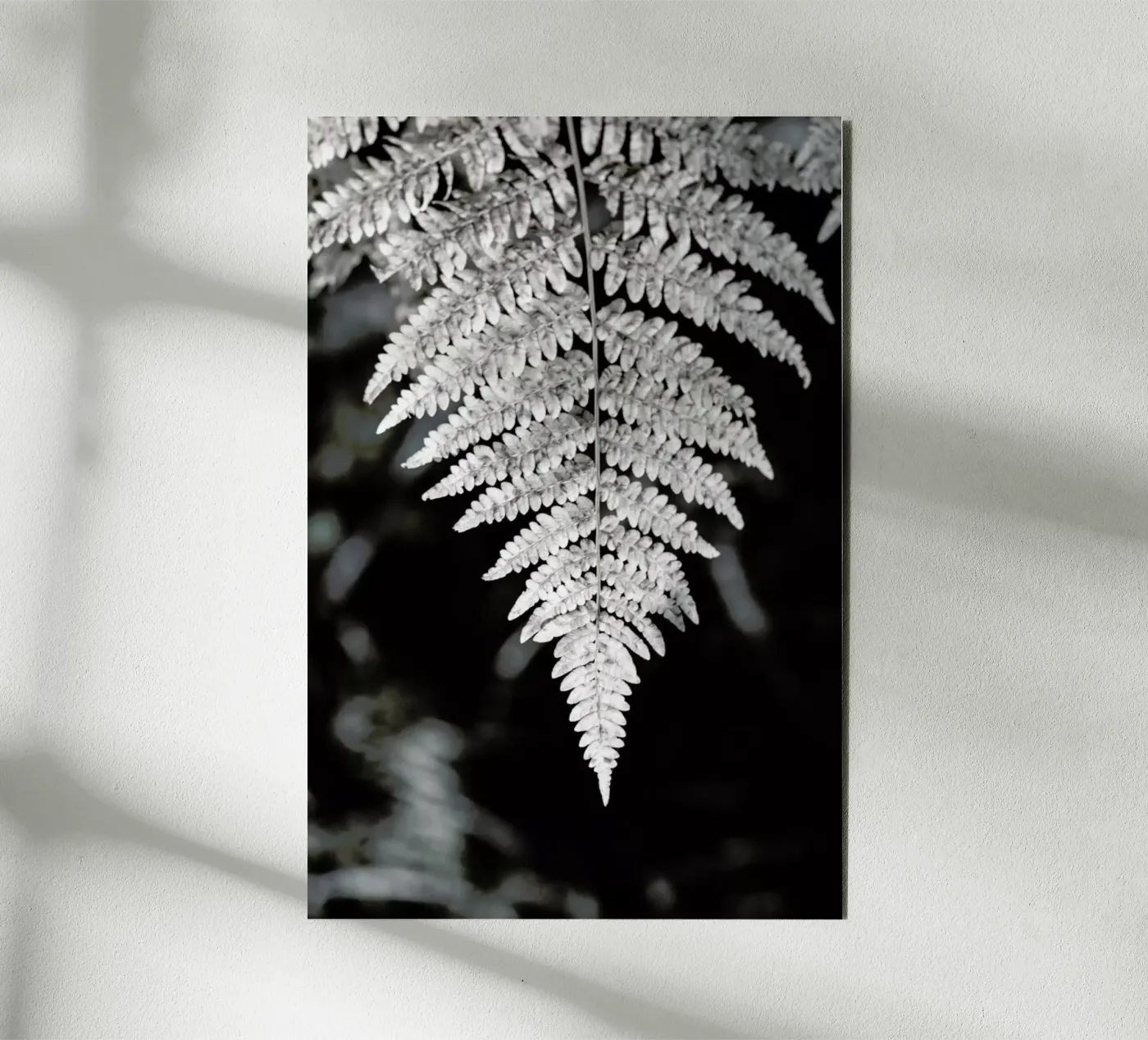 Fern forex plate by Studio Nahili