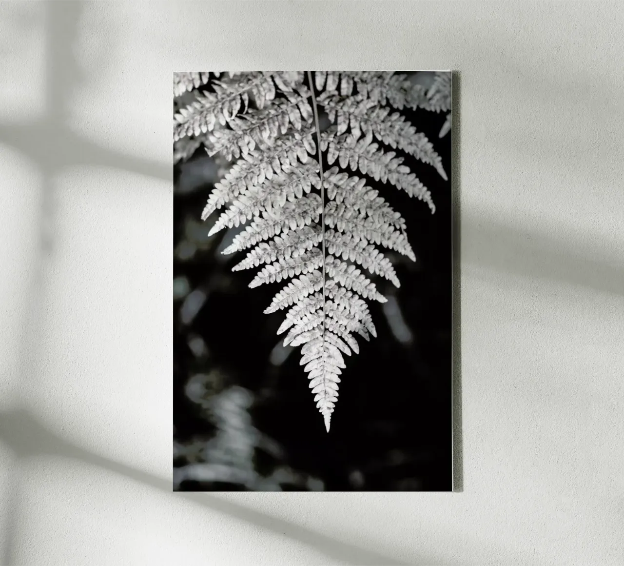 Fern tela da Studio Nahili