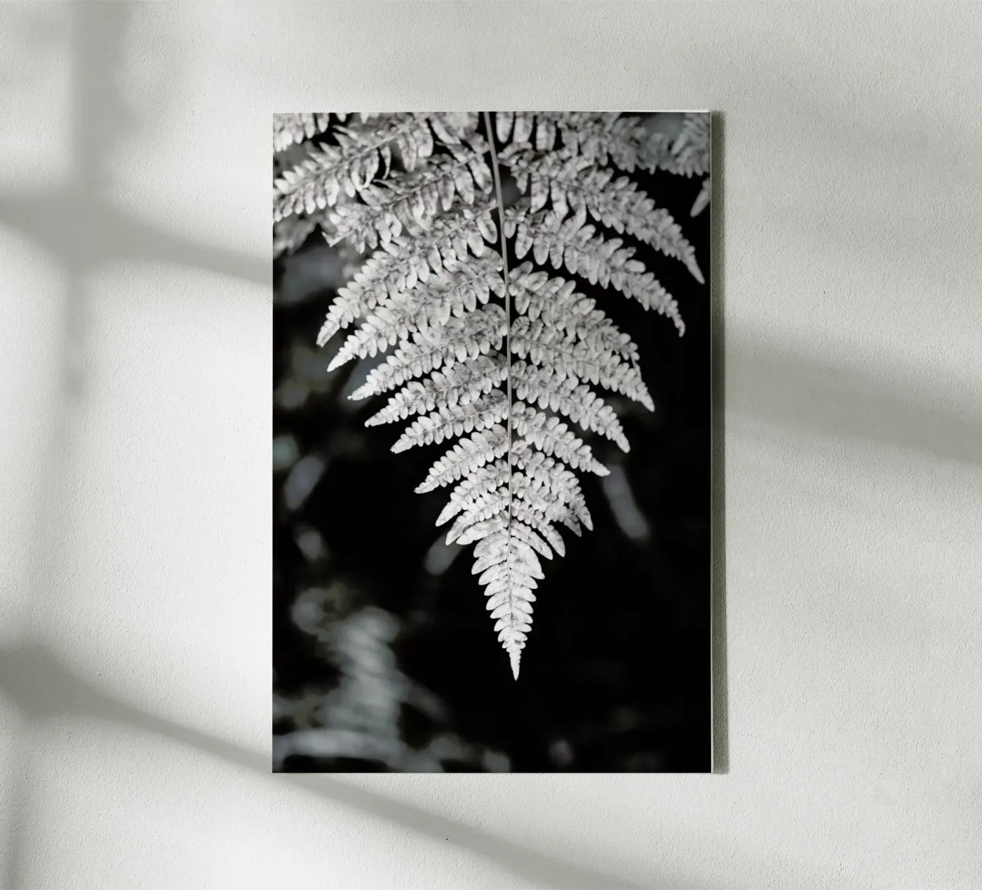 Fern tela da Studio Nahili