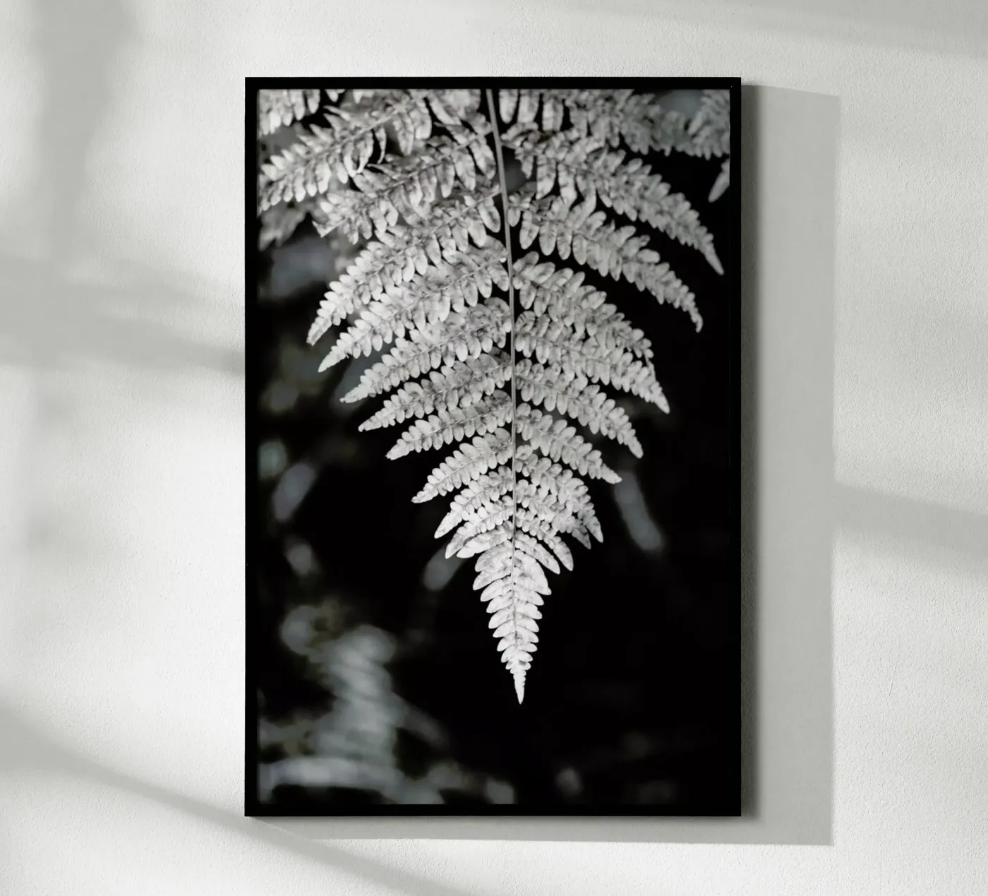 Fern poster da Studio Nahili