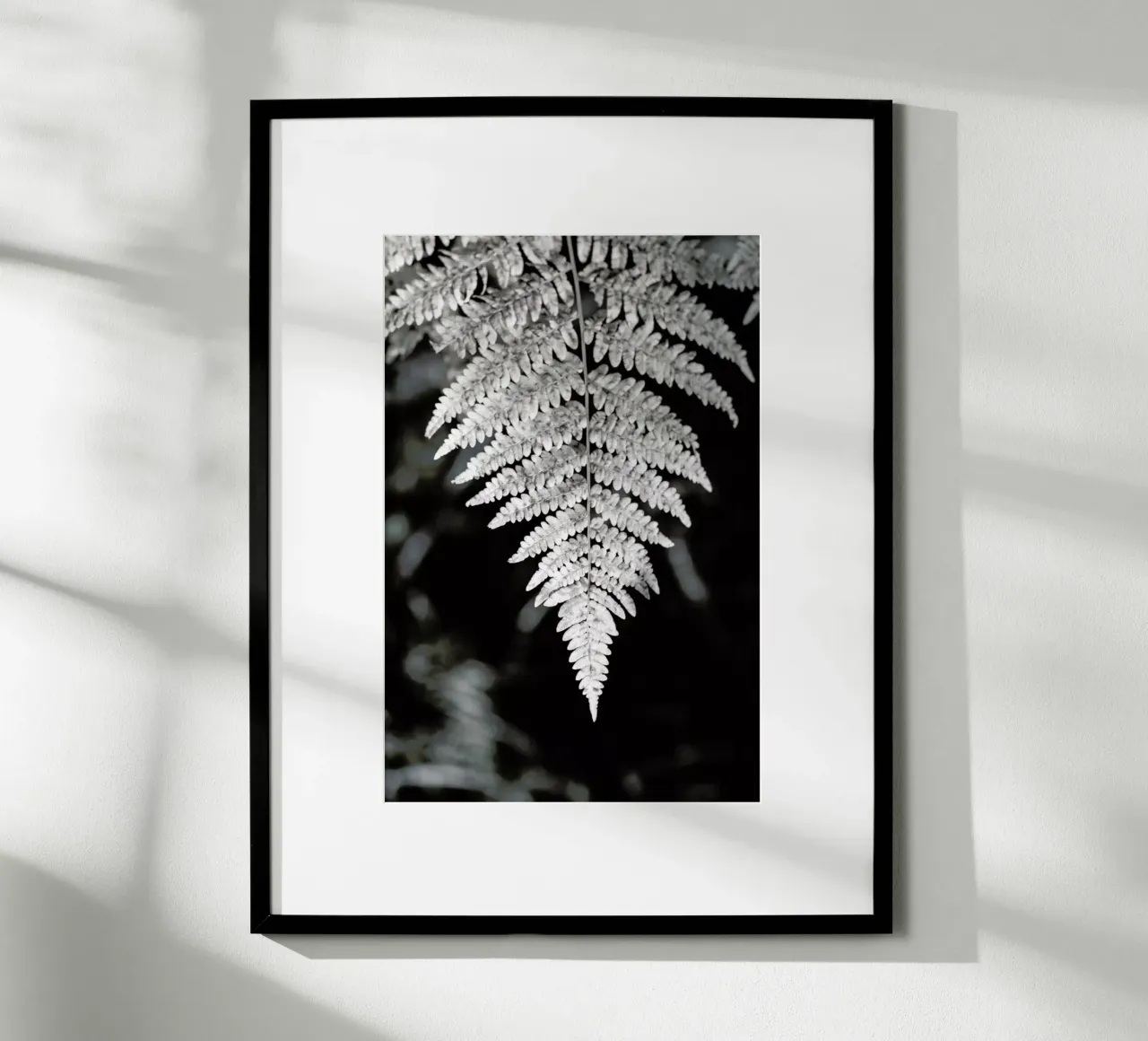 Fern poster da Studio Nahili