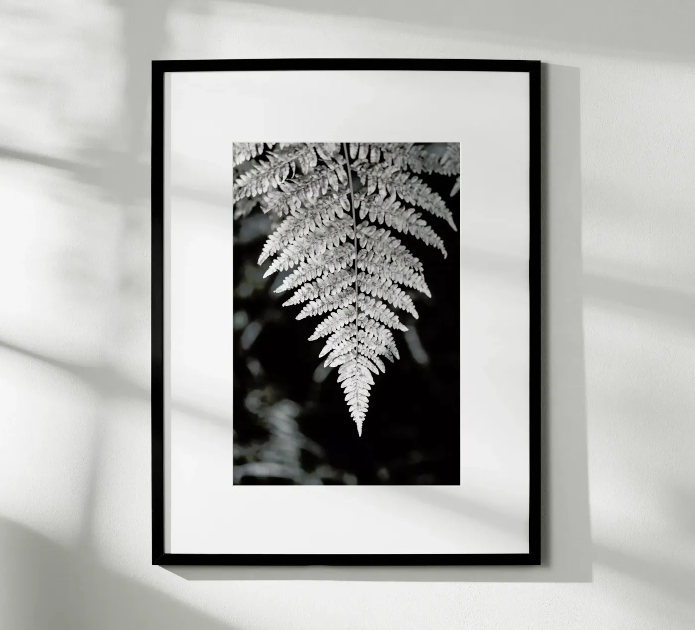 Fern poster da Studio Nahili