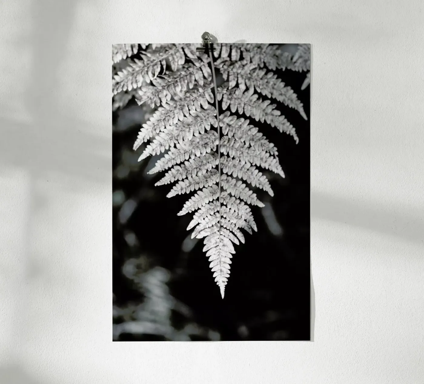 Fern poster da Studio Nahili