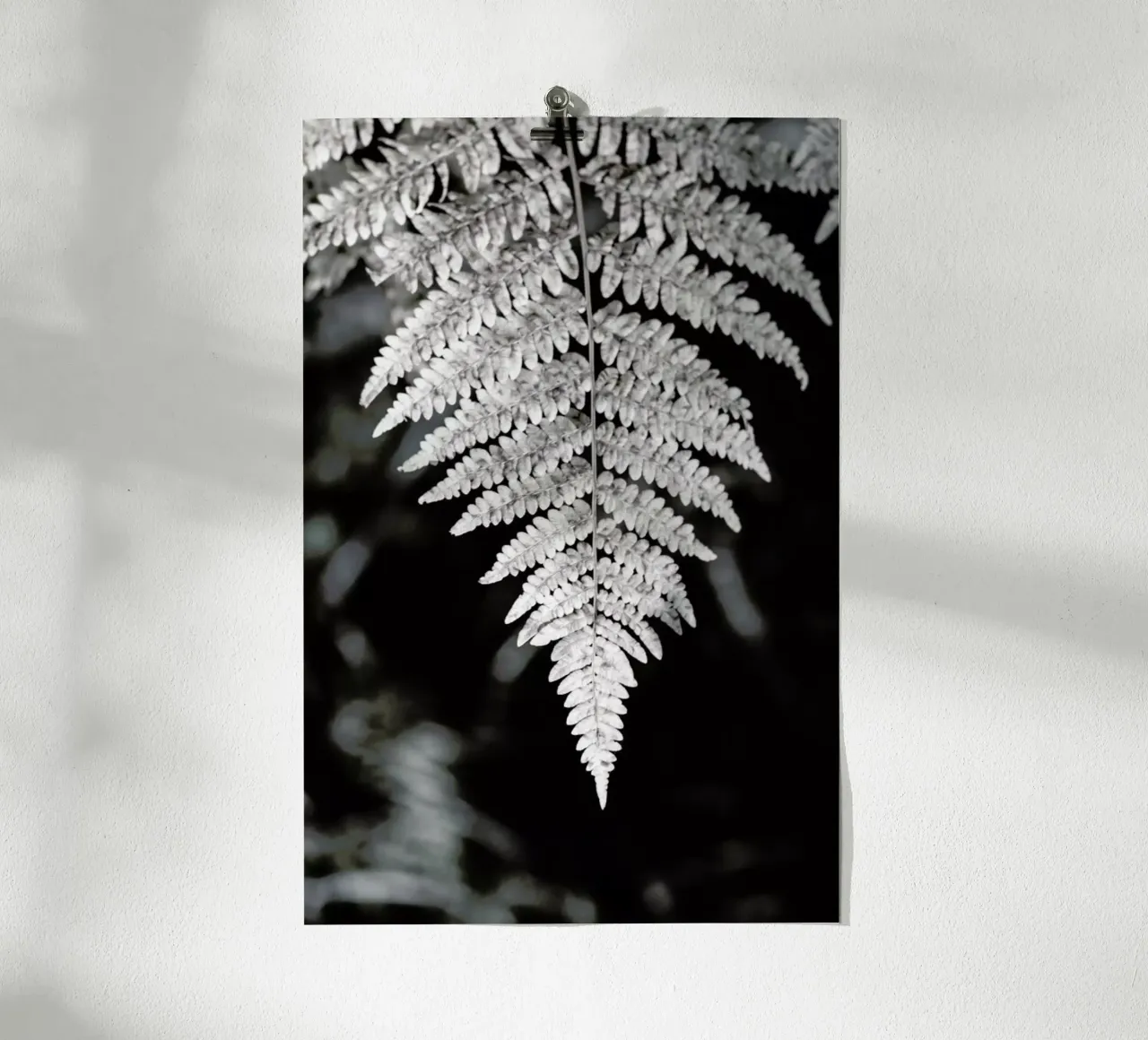 Fern poster da Studio Nahili