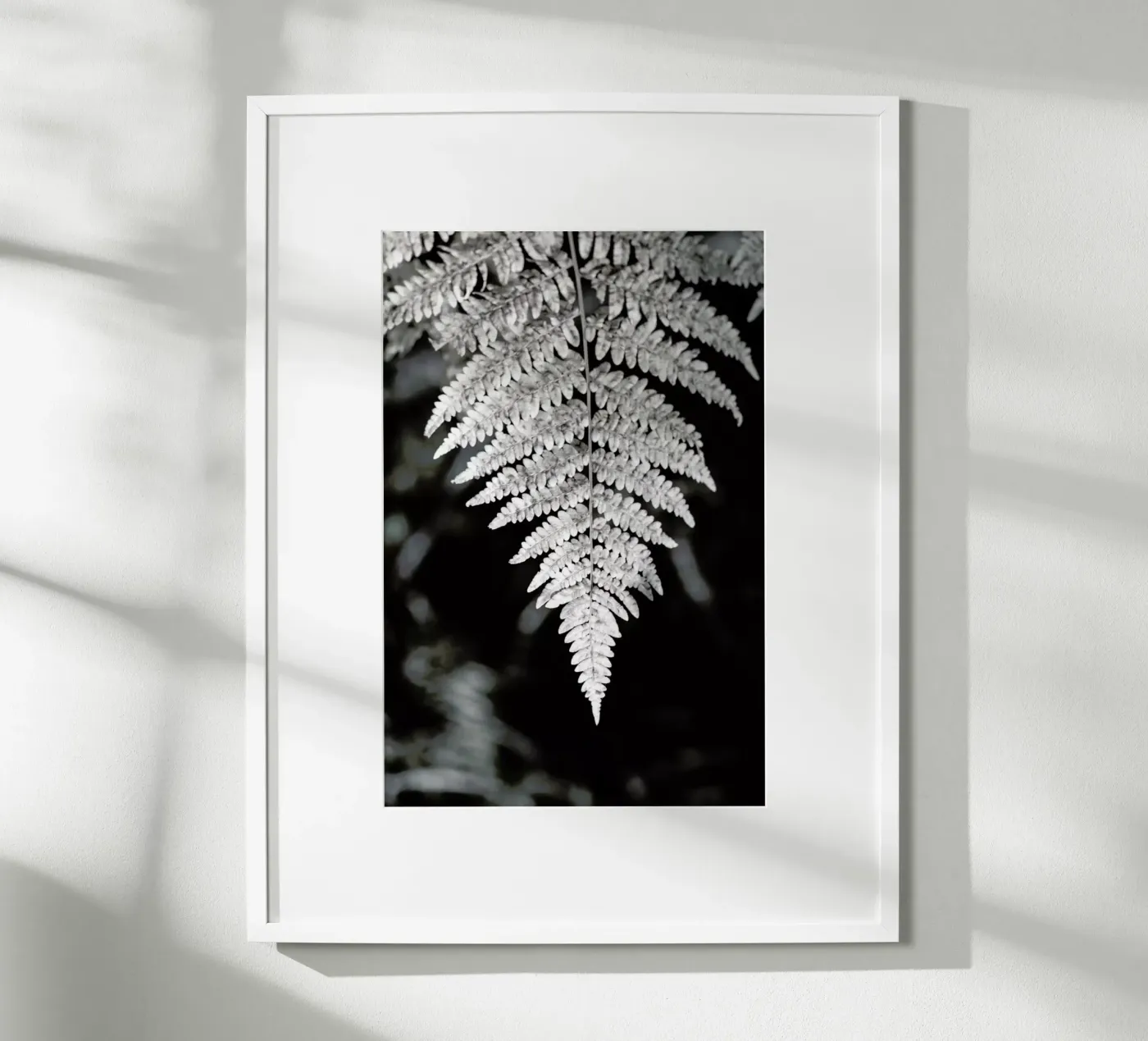 Fern poster da Studio Nahili