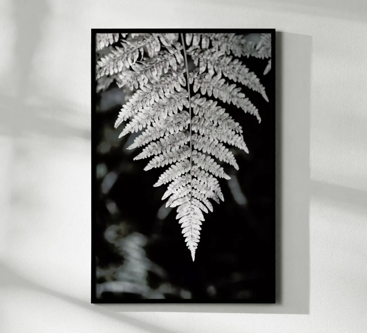 Fern poster da Studio Nahili