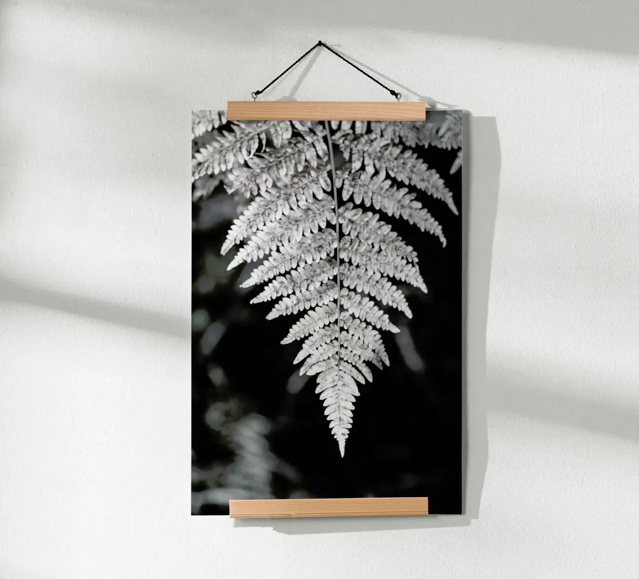 Fern poster da Studio Nahili