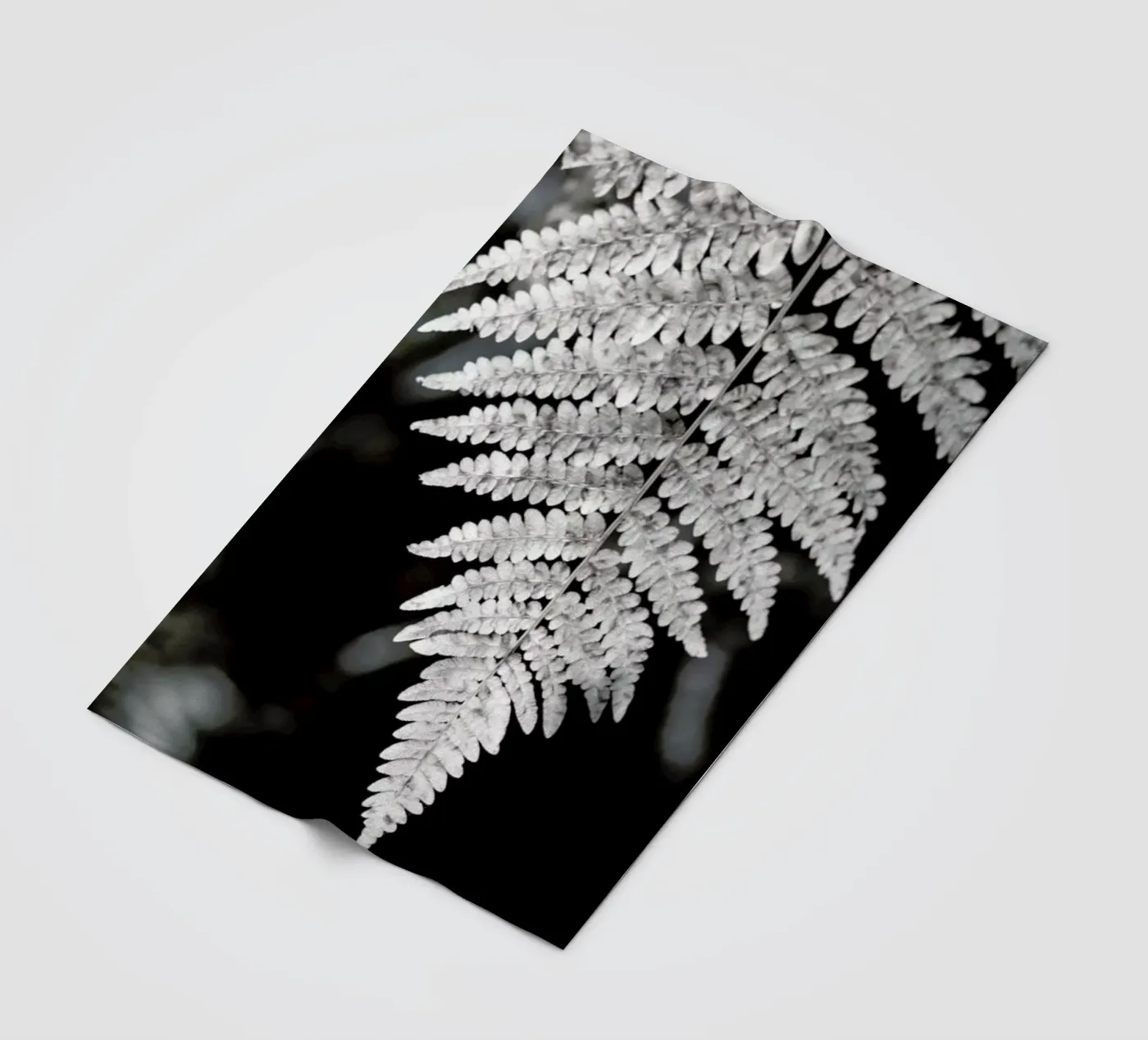 Fern fleece blanket by Studio Nahili