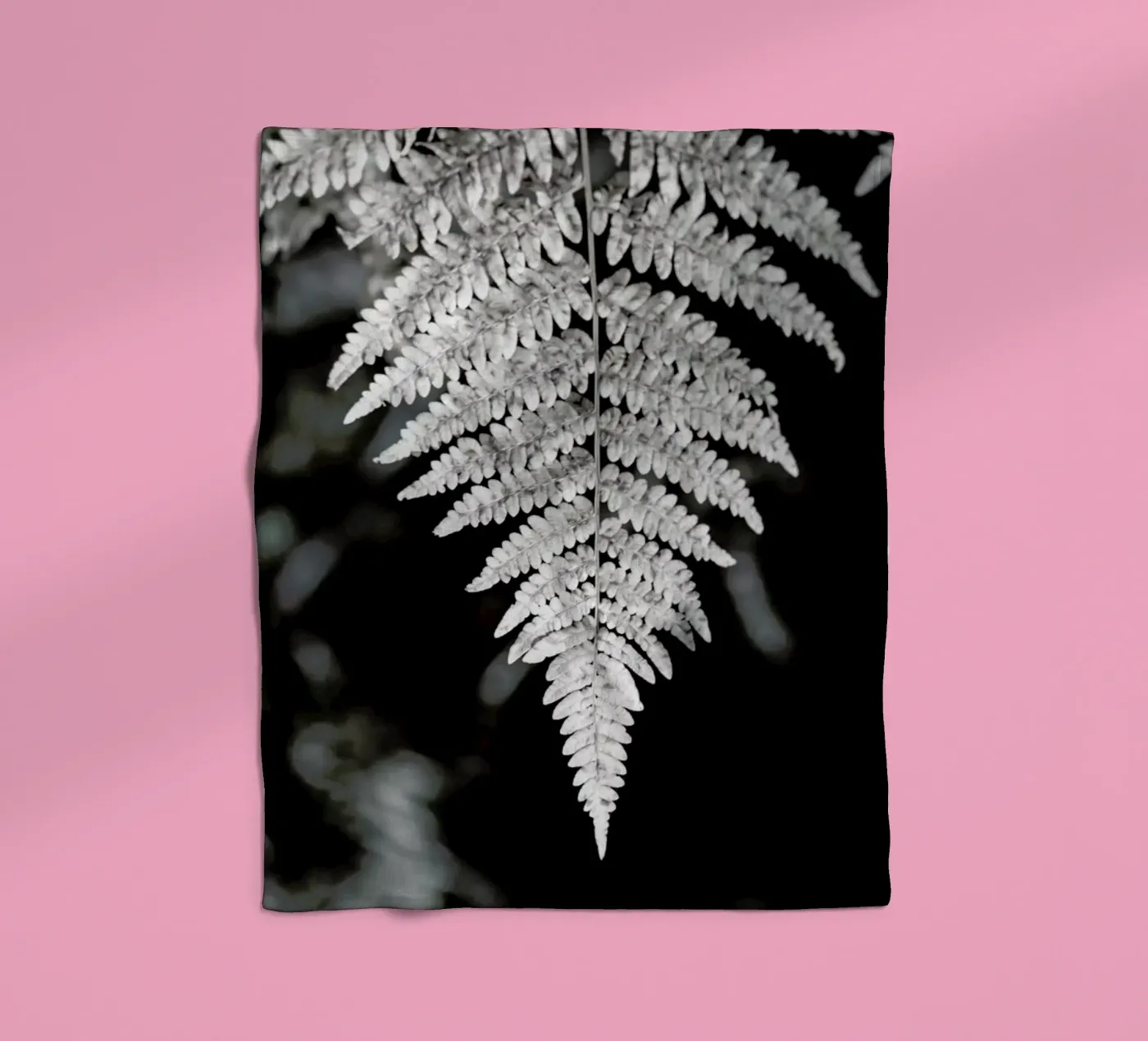 Fern coperta in pile da Studio Nahili