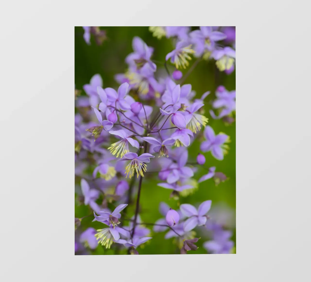 Incantevoli fiori viola selvatici telo in pvc da Curious Collections by Marielle Leenders