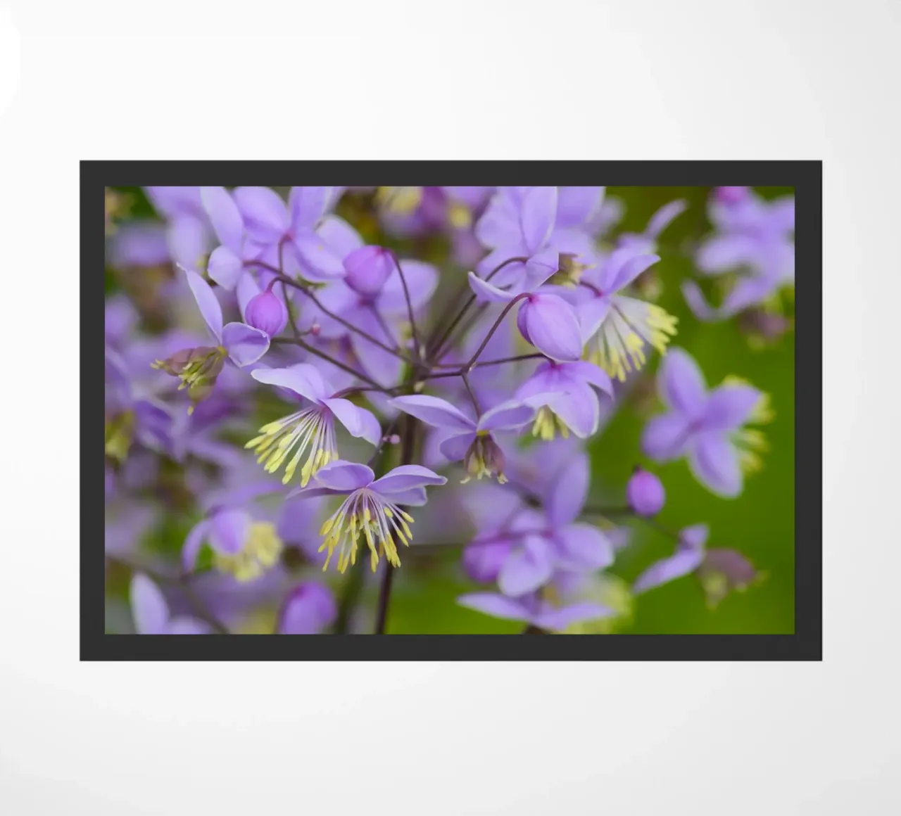 Incantevoli fiori viola selvatici zerbino da Curious Collections by Marielle Leenders