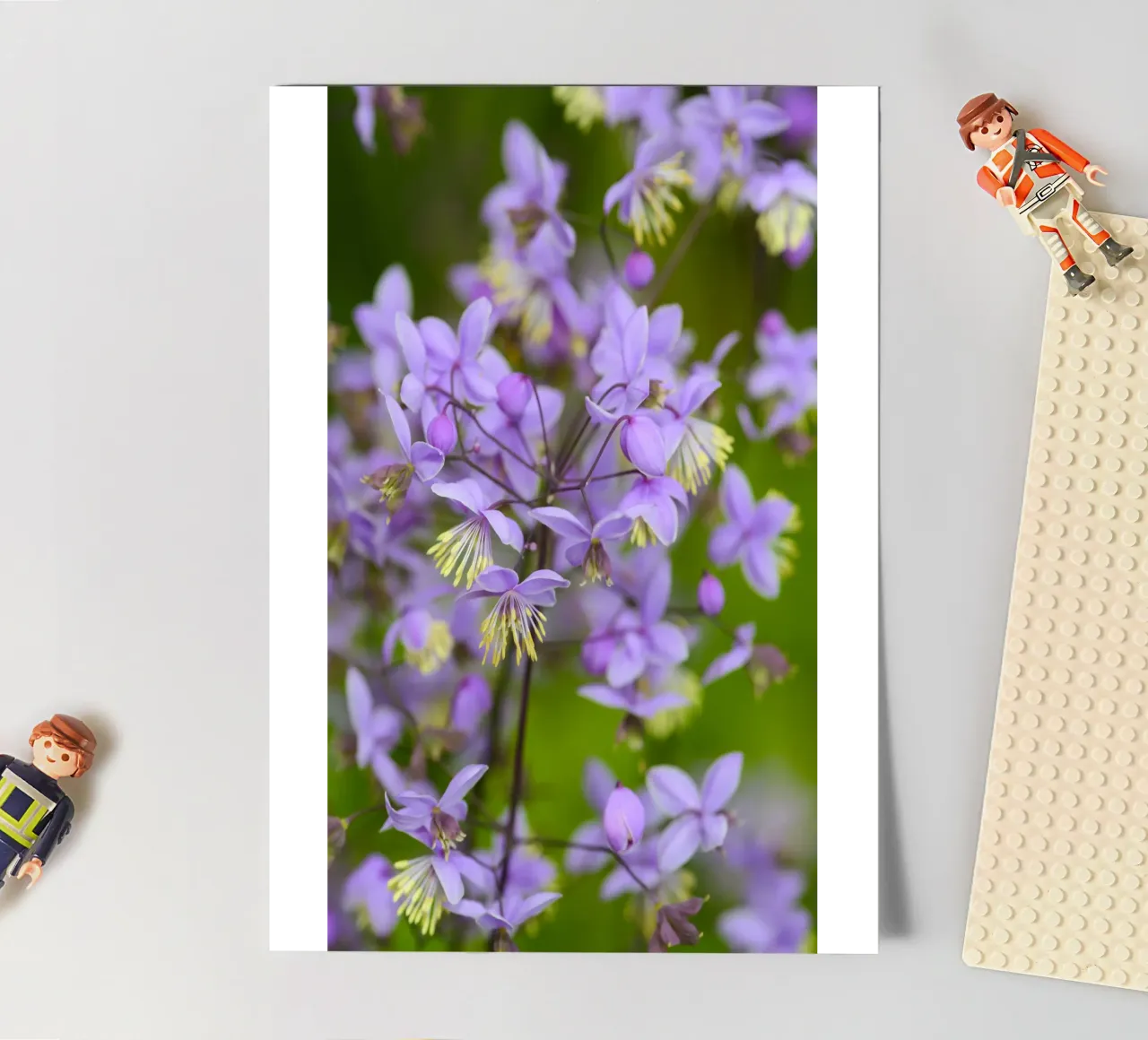 Incantevoli fiori viola selvatici foglio adesivo da Curious Collections by Marielle Leenders