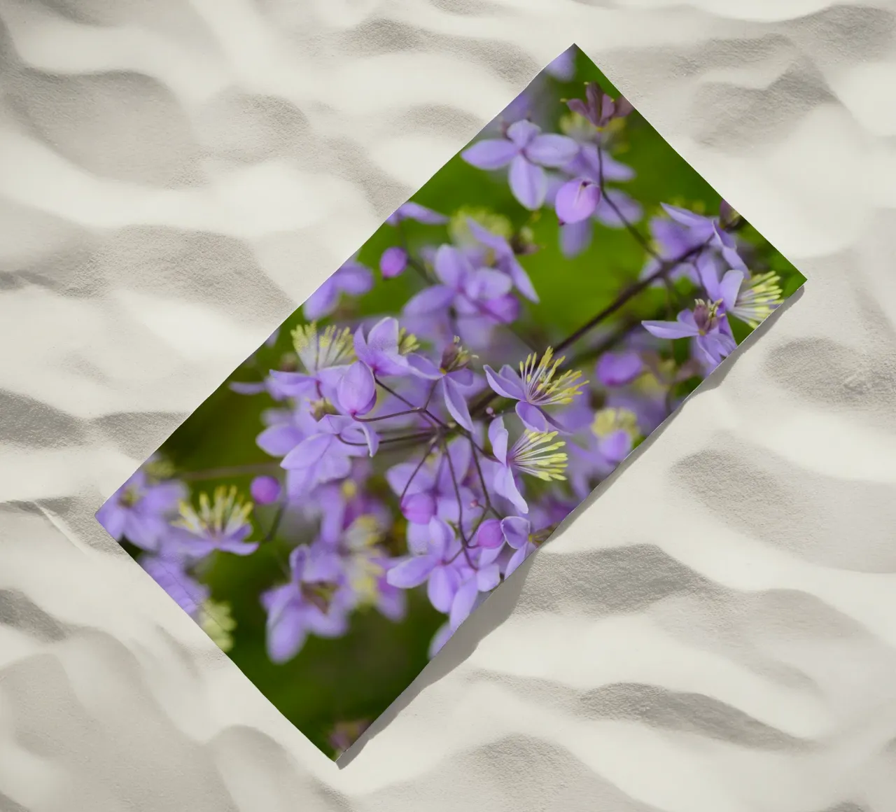 Incantevoli fiori viola selvatici telo mare da Curious Collections by Marielle Leenders