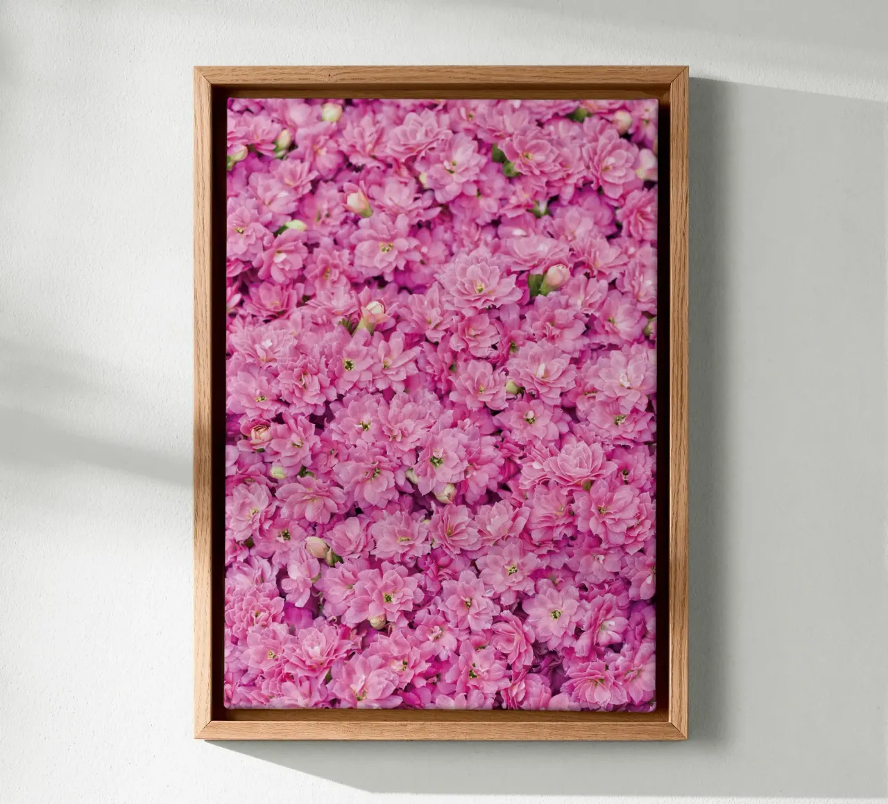 Süß und anmutig: Bezaubernde kleine rosa Blüten Leinwand mit Schattenfugenrahmen von Curious Collections by Marielle Leenders