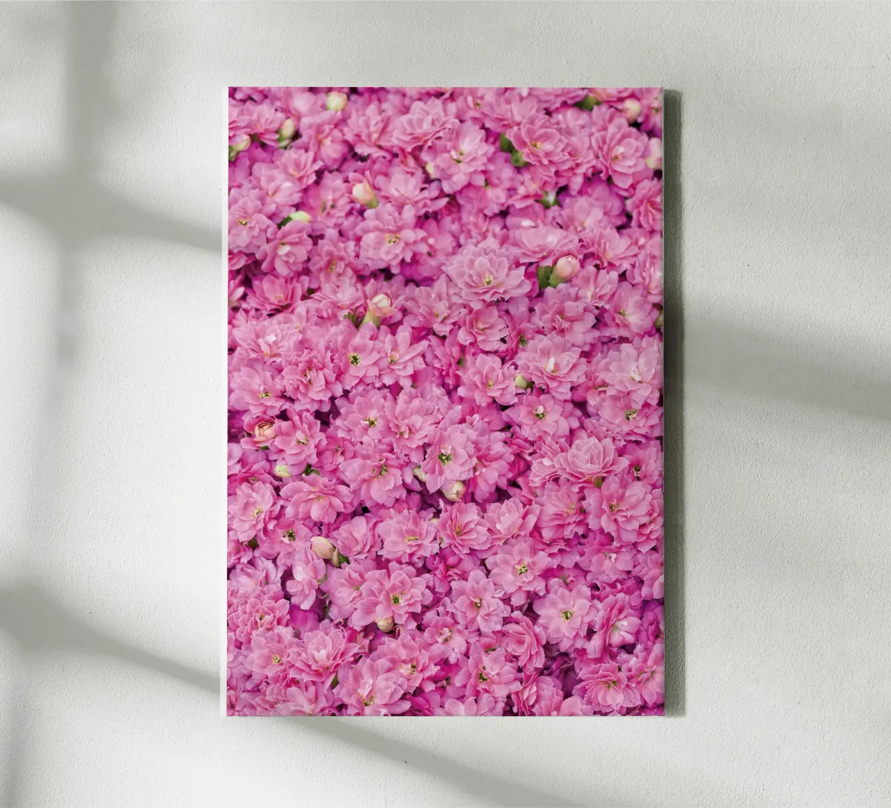 Süß und anmutig: Bezaubernde kleine rosa Blüten Leinwand mit Schattenfugenrahmen von Curious Collections by Marielle Leenders