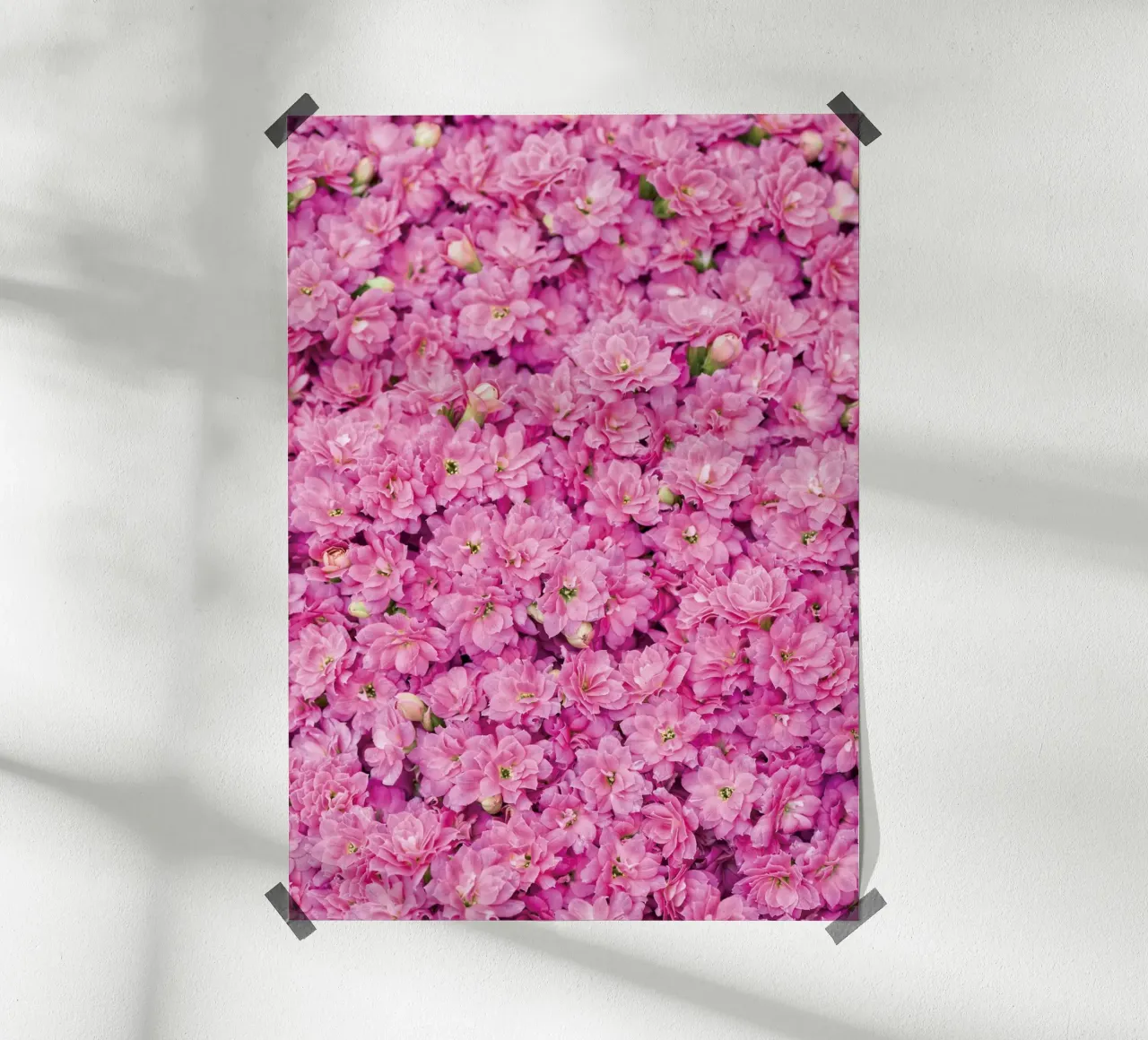 Dolce e grazioso: Adorabili piccoli fiori rosa poster con telaio in legno da Curious Collections by Marielle Leenders