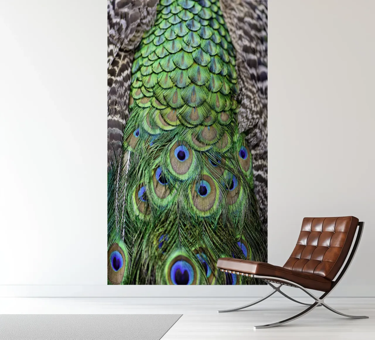 Peacock Feathers – Nature's Vibrant Masterpiece photo wallpaper by Curious Collections by Marielle Leenders