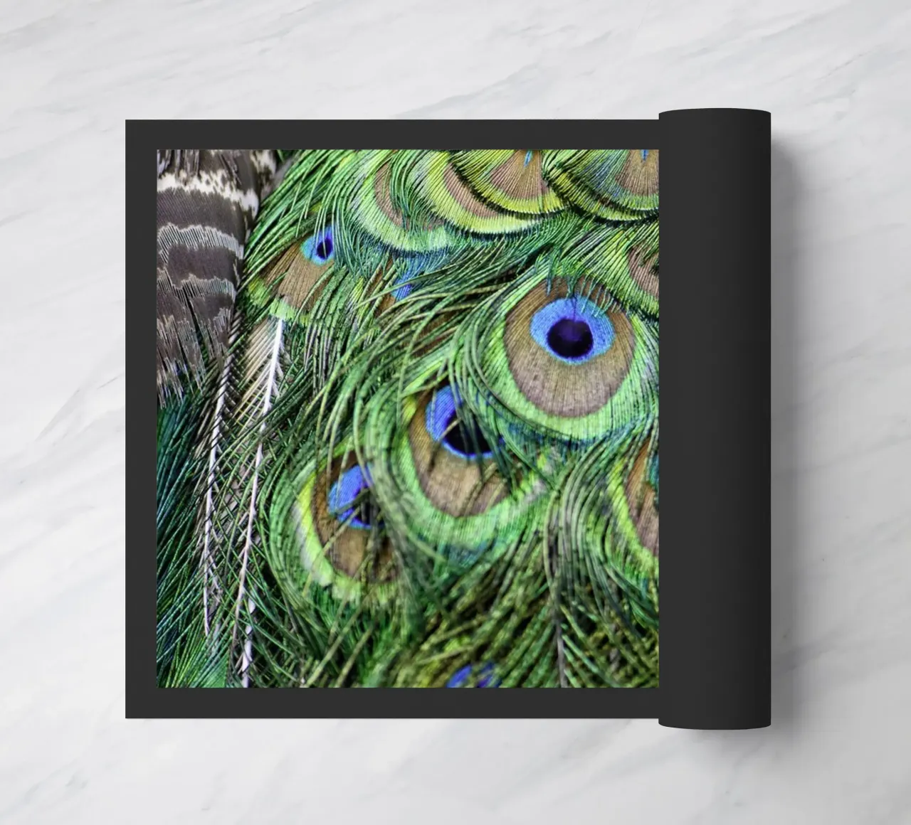 Peacock Feathers – Nature's Vibrant Masterpiece zerbino da Curious Collections by Marielle Leenders