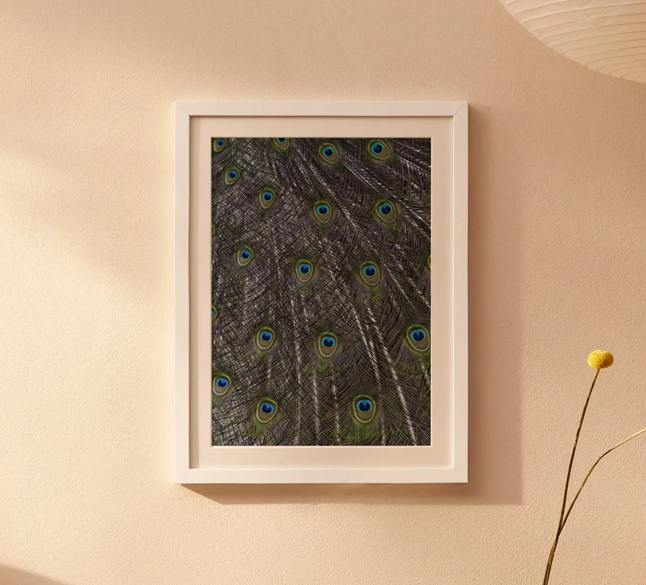 Splendide piume di pavone - Un tocco di eleganza reale poster con telaio in legno da Curious Collections by Marielle Leenders