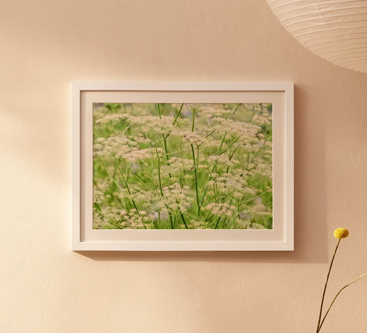 Nature's Harvest: Finocchio in semi poster da Curious Collections by Marielle Leenders